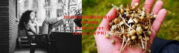 молекула духа Армянск