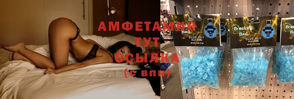 дурь Аркадак