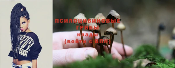 экстази Арсеньев