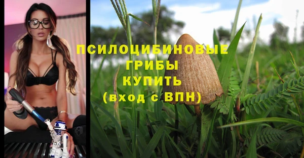 экстази Арсеньев