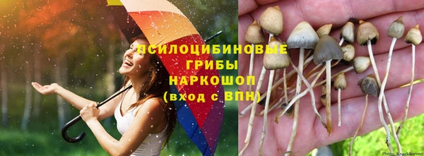 экстази Арсеньев