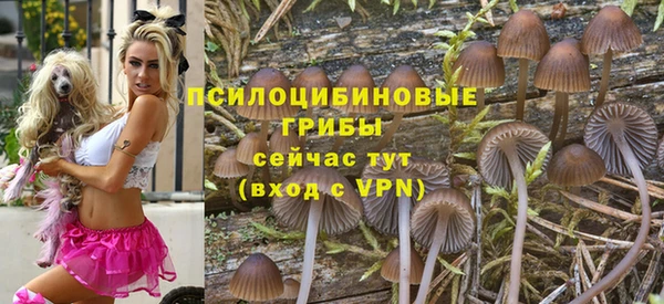 молекула духа Армянск