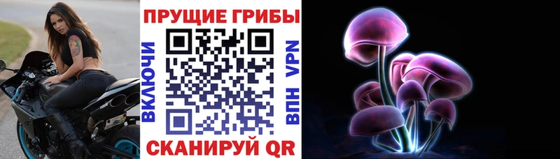 Галлюциногенные грибы GOLDEN TEACHER  даркнет официальный сайт  Петровск  блэк спрут вход 